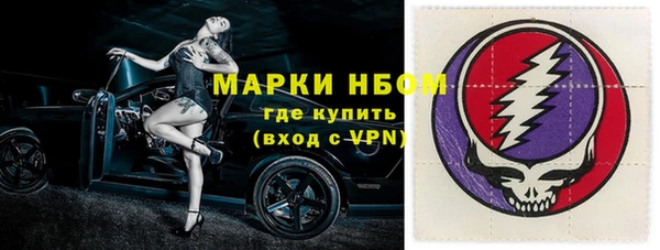 PSILOCYBIN Вяземский